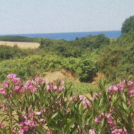 Beach House Poseidon *